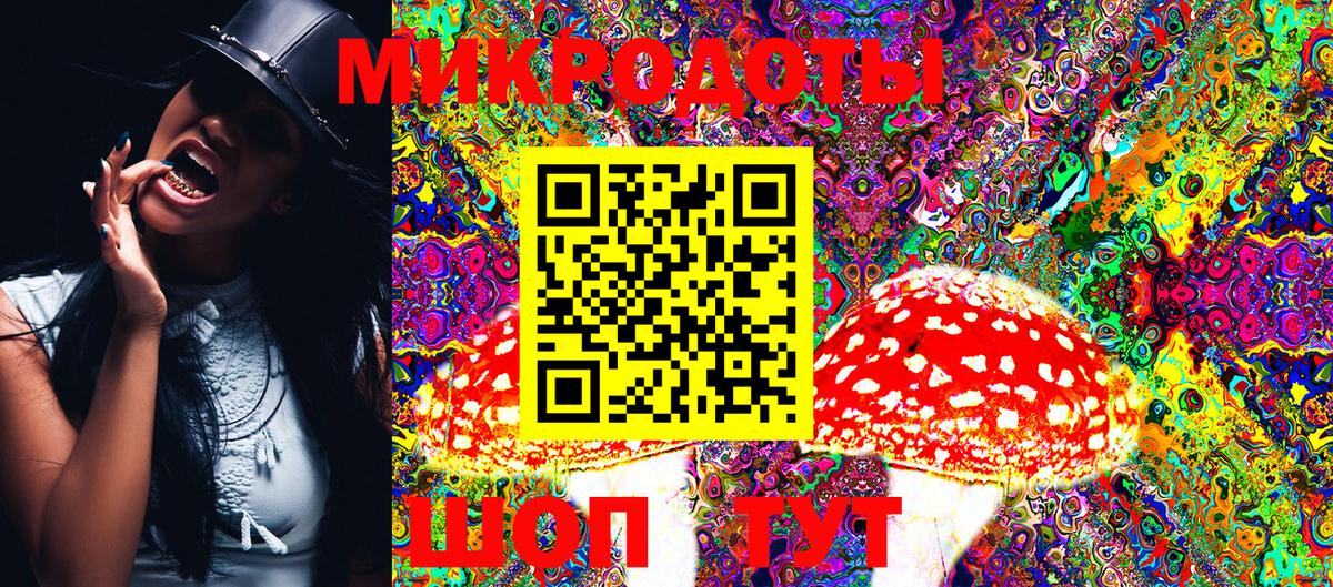 Галлюциногенные грибы Psilocybine cubensis  Галлюциногенные грибы Psilocybe  Медногорск  Вход с VPN 